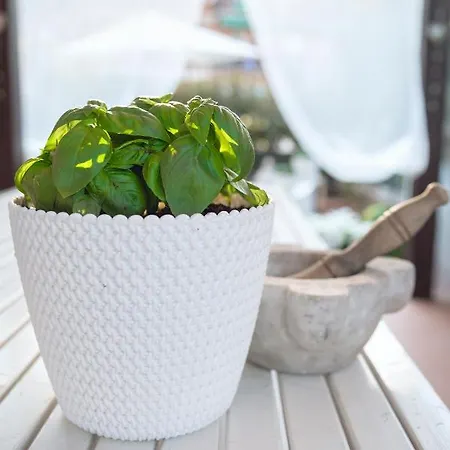 Marcella Λα Σπέτσια